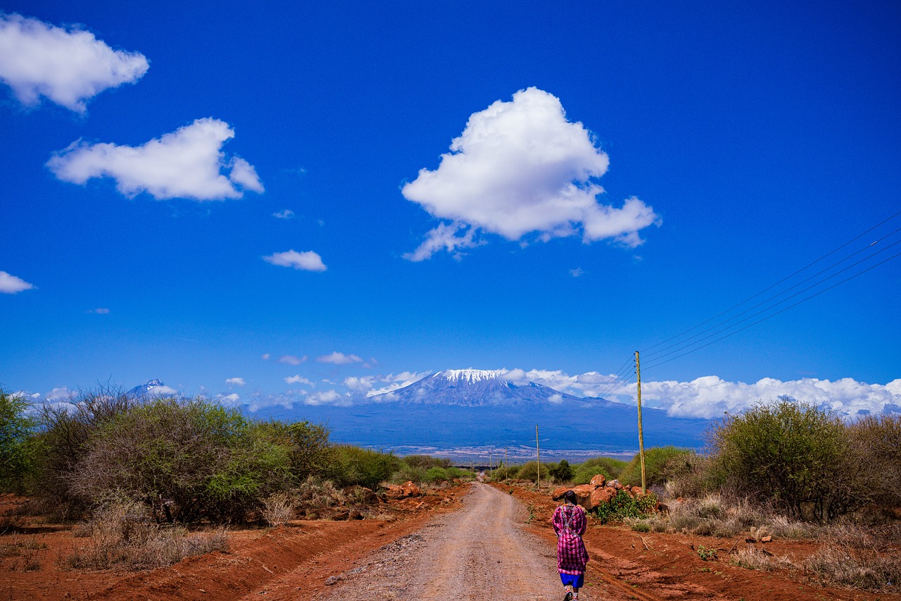 mount-kilimanjaro-gfdbf3e9b3_1280